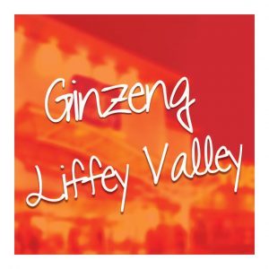 Ginzeng-Liffey-Valley-Shopping-Centre